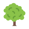 Загадки про деревья